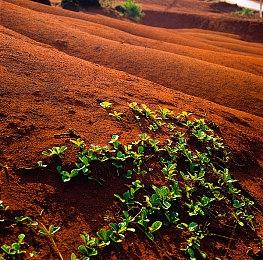 Nexon正在制作《战锤西格玛时代》新作 PvE多人RPG