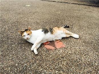 又是PSVR2没有独占游戏的一年 玩家已经开始不满