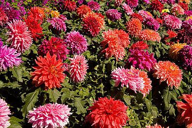 黑色幽默游戏《杀死公主》上架Steam 明年发售